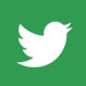 twitter in icon