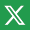 twitter in icon